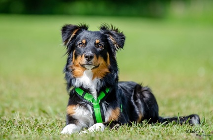 k-HVD Training 2020-05-30 048