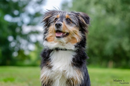 k-HVD Training 2020-05-30 054