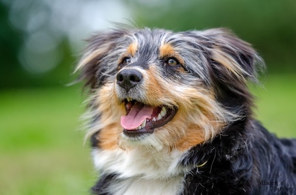 k-HVD Training 2020-05-30 057