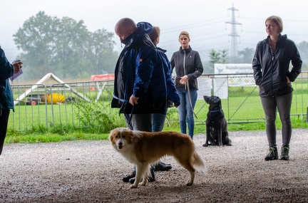 K-BHVT 2020-09-06 008