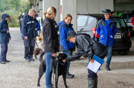 K-BHVT 2020-09-06 009