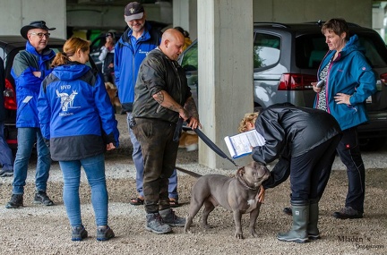 K-BHVT 2020-09-06 014