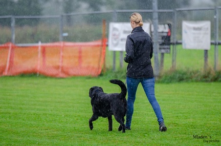 K-BHVT 2020-09-06 023