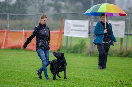 K-BHVT 2020-09-06 026