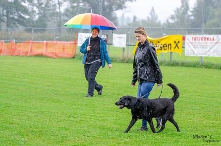 K-BHVT 2020-09-06 027