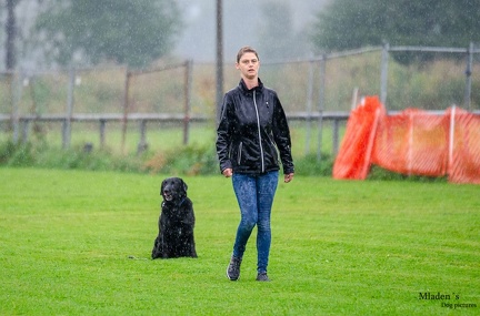 K-BHVT 2020-09-06 029