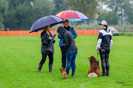 K-BHVT 2020-09-06 041