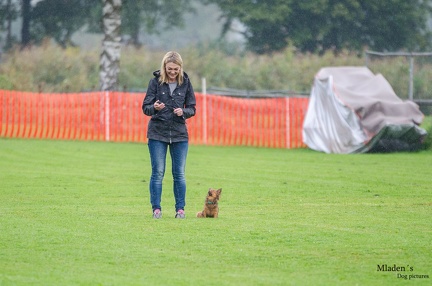 K-BHVT 2020-09-06 045