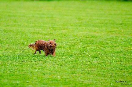 K-BHVT 2020-09-06 047