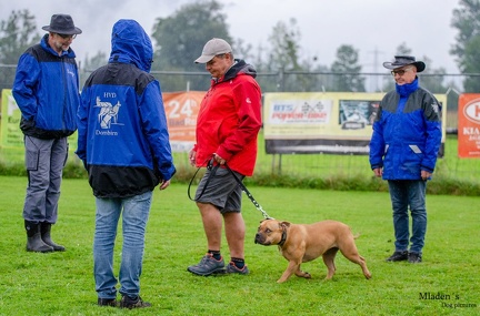 K-BHVT 2020-09-06 059