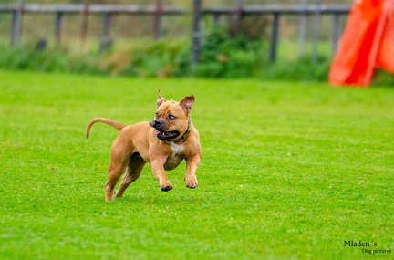 K-BHVT 2020-09-06 060