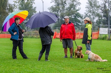 K-BHVT 2020-09-06 061