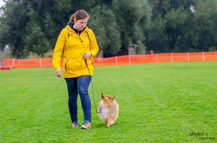 K-BHVT 2020-09-06 063