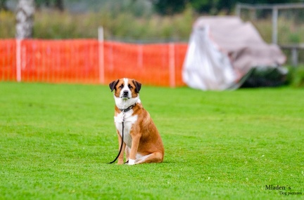 K-BHVT 2020-09-06 067