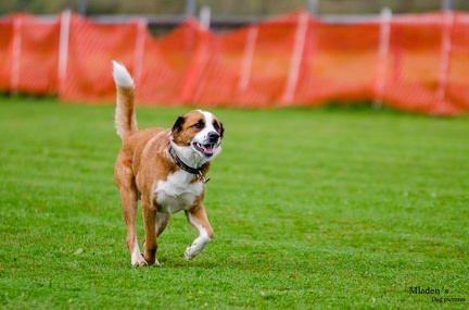 K-BHVT 2020-09-06 069