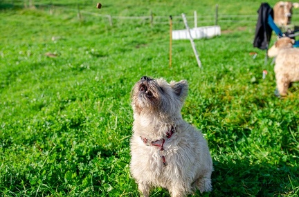 K-FH Training 2020-09-18 007