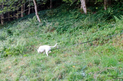 K-FH Training 2020-09-18 014