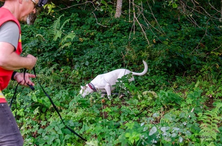 K-FH Training 2020-09-18 016