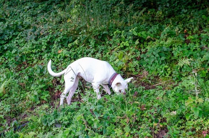 K-FH Training 2020-09-18 015