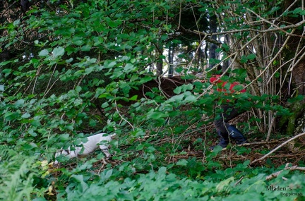 K-FH Training 2020-09-18 019