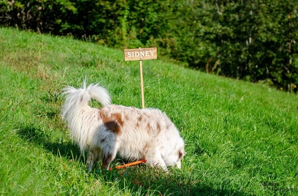 K-FH Training 2020-09-18 021