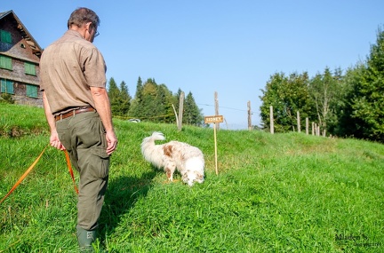 K-FH Training 2020-09-18 022