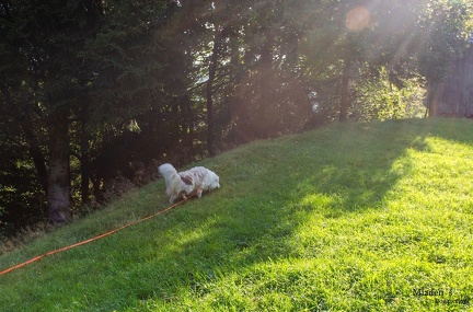 K-FH Training 2020-09-18 024