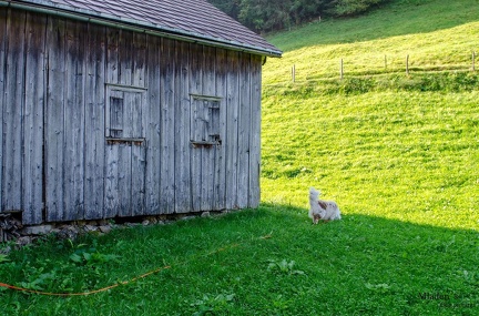 K-FH Training 2020-09-18 027