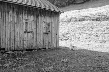 K-FH Training 2020-09-18 028