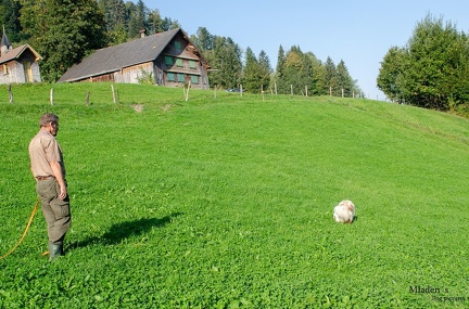 K-FH Training 2020-09-18 029