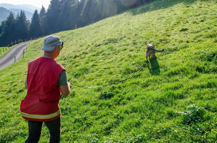 K-FH Training 2020-09-18 030