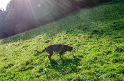 K-FH Training 2020-09-18 031