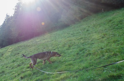 K-FH Training 2020-09-18 032