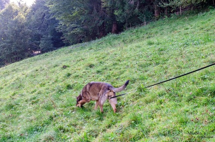 K-FH Training 2020-09-18 034