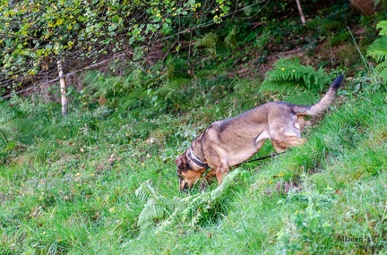 K-FH Training 2020-09-18 037