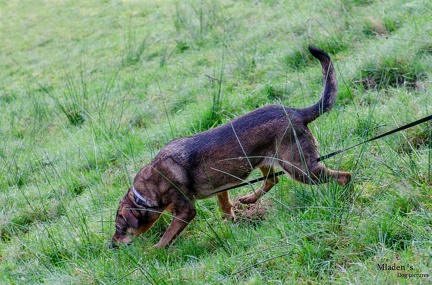 K-FH Training 2020-09-18 038