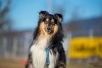 K-HVD Kurs 05-02-2022 034