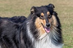 K-HVD Kurs 19-03-2022 078