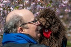K-Welppenkurs-Abschluss 03-04-2022 048