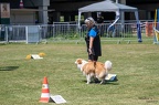 K-HVD RO Turnier 16-07-2022 0636