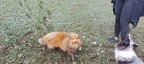 IMG-20220820-WA0068