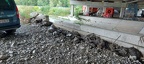 IMG-20220820-WA0082