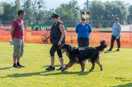 K-2.VHV Cuppruefung 03-06-2023 16