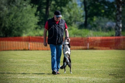 K-2.VHV Cuppruefung 03-06-2023 19