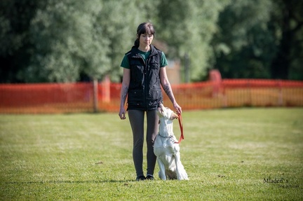 K-2.VHV Cuppruefung 03-06-2023 21