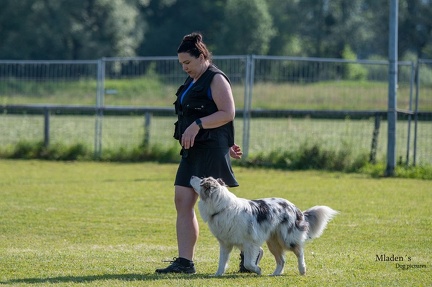 K-2.VHV Cuppruefung 03-06-2023 26