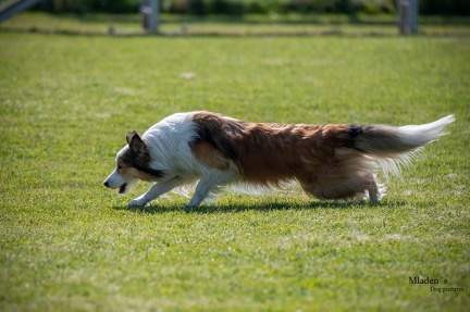 K-2.VHV Cuppruefung 03-06-2023 29