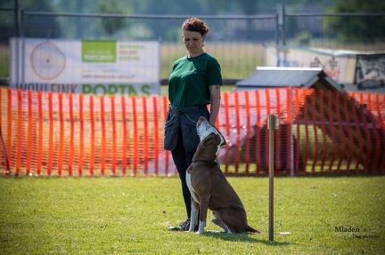 K-2.VHV Cuppruefung 03-06-2023 36