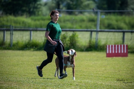 K-2.VHV Cuppruefung 03-06-2023 37