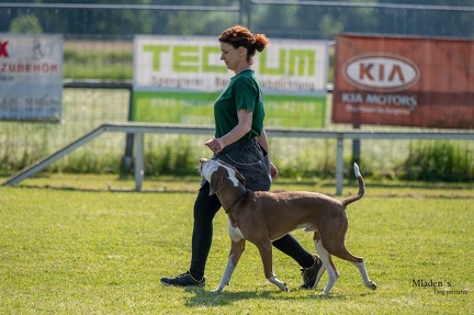 K-2.VHV Cuppruefung 03-06-2023 38